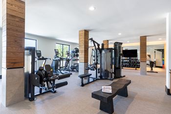 Aura main street apartments in lewisville, texas fitness center